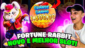 conta demo touro fortune